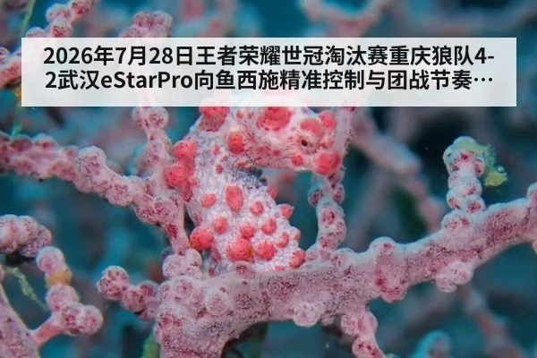 2026年7月28日王者荣耀世冠淘汰赛重庆狼队4-2武汉eStarPro向鱼西施精准控制与团战节奏复盘